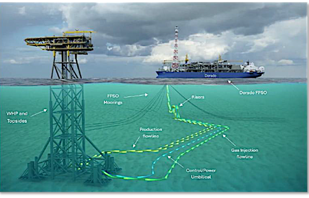 Carnarvon Energy is advancing the Dorado and Pavo oil fields in the Bedout Sub-basin with FPSO-based development and exploration plans that could reshape Australia’s offshore oil landscape.