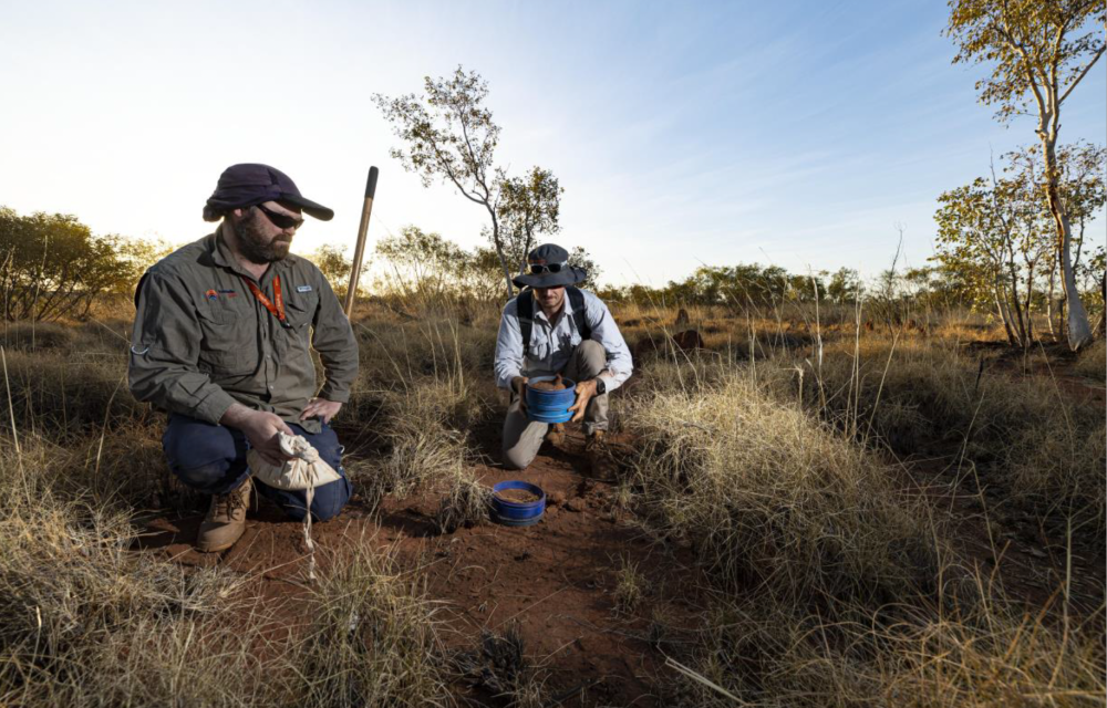 Hamelin Gold is using advanced geochemistry and structural mapping to uncover large-scale gold systems across the Tanami and Yilgarn, with Ultrafine® tech lighting up new under-cover targets.